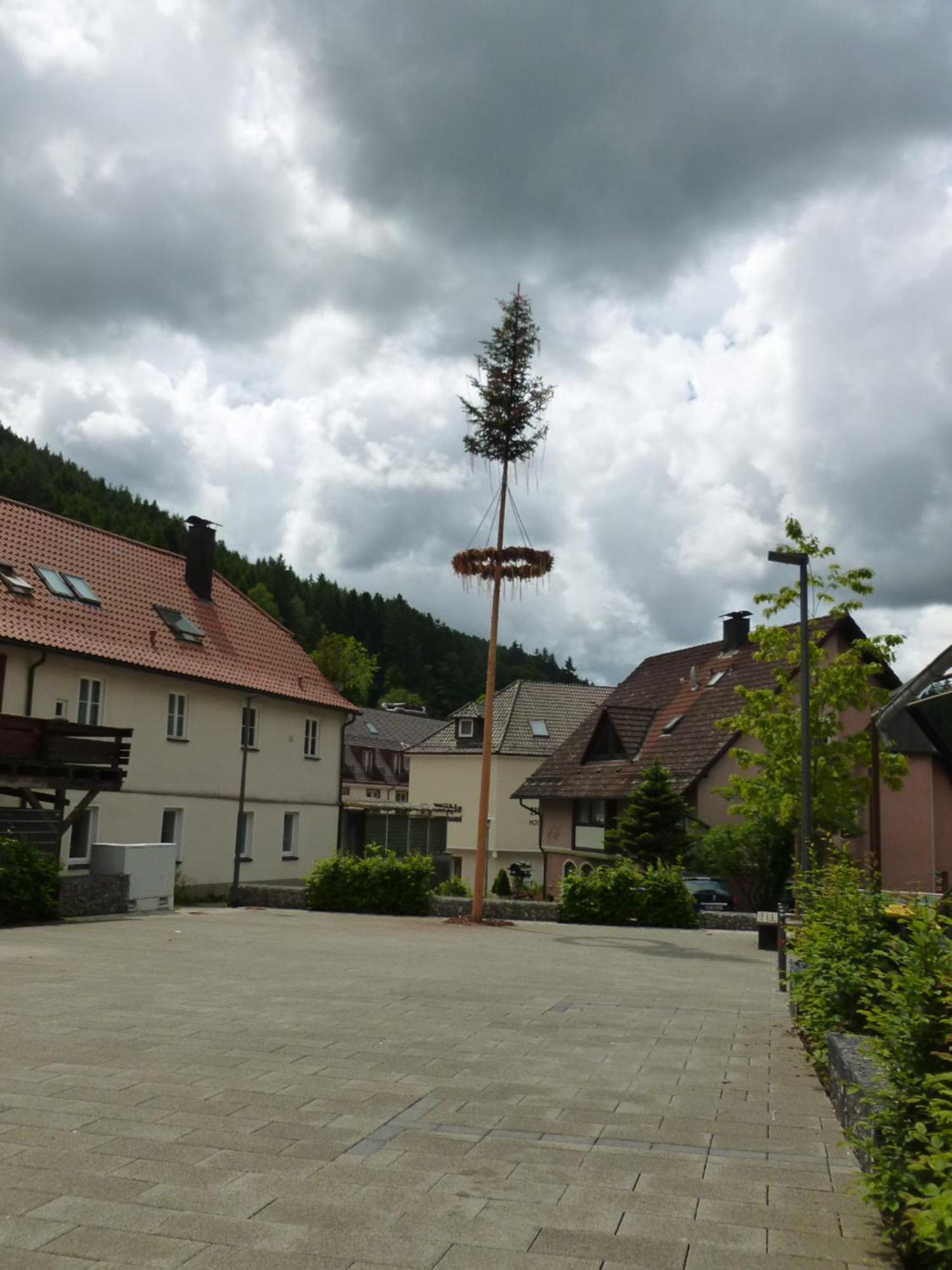 Gasthaus Waldhorn Bad Teinach-Zavelstein Exterior photo